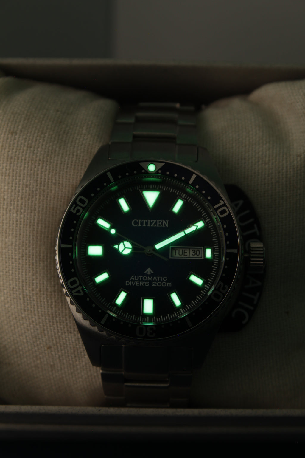 Citizen Promaster Diver NY0129-58L